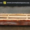 NEW & GENUINE HITACHI ZX870/ZX890 R/H LINK – PART NO. 8104696