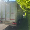 Scania P250 Cattle Lorry
